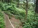 p8131268trail