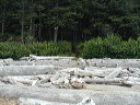 p8131290trail